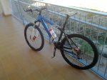 28112010399.jpg