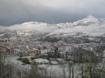 IMG_0343.jpg