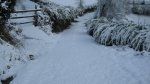 IMG_0368.jpg