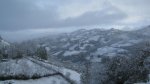 IMG_0367.jpg