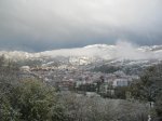 IMG_0340.jpg