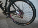 Storck 05.jpg