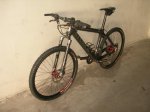 Storck 02.jpg