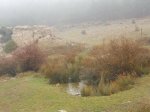 DSCN0317.jpg