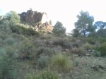 IMAG0454.jpg