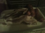 IMAG0445.jpg