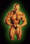 flexan.gif