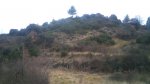 DSC00280.JPG