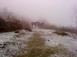 DSC00025.jpg