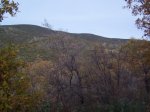 IMG_0029 [640x480].JPG