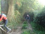 DSC07082.jpg