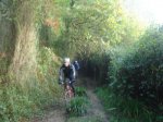DSC07090.jpg