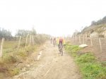 DSC07136.jpg