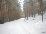DSCN2304.jpg