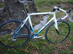 TCX 04.jpg