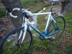 TCX 06.jpg