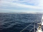 IMG_0046.jpg