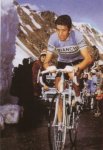 gimondi.jpg