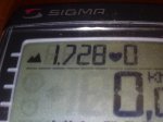 28112010520.jpg