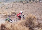 bardena negra 28.119.jpg