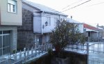 DSC_0169.jpg