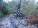 DSC00452.jpg