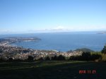 DSC00450.jpg