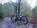DSC00453.jpg