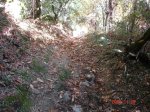 DSC00457.jpg