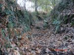 DSC00443.jpg