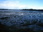 IMG_7728.jpg