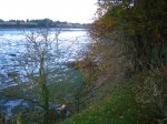 IMG_7727.jpg