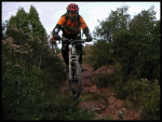PICT0181.gif