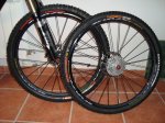 DSC01207.jpg