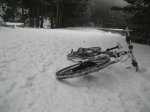 IMG_0339.jpg