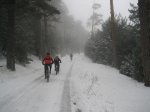 IMG_0334.jpg