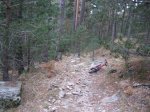 IMG_0351.jpg