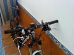 DSC00244.jpg