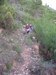 IMG_0330_480x640.jpg