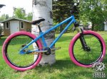 precioso hardtail.jpg