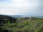 Copia de IMG_0579.JPG