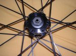 DSCN1601.JPG