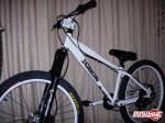 pbpic842461.jpg