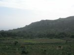 DSCN9144.jpg