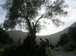DSCN9161.jpg