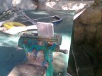 Imagen042.jpg