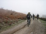 IMG_9743.JPG