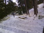 DSC00167.jpg
