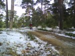 DSC00163.jpg