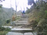 DSC00177.JPG